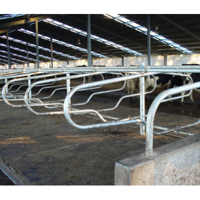 Prefab steel structure dairy cow shed farm livestock panels cow SHELTERS poultry houses  Barn